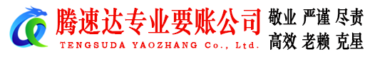 汉南腾速达收账公司